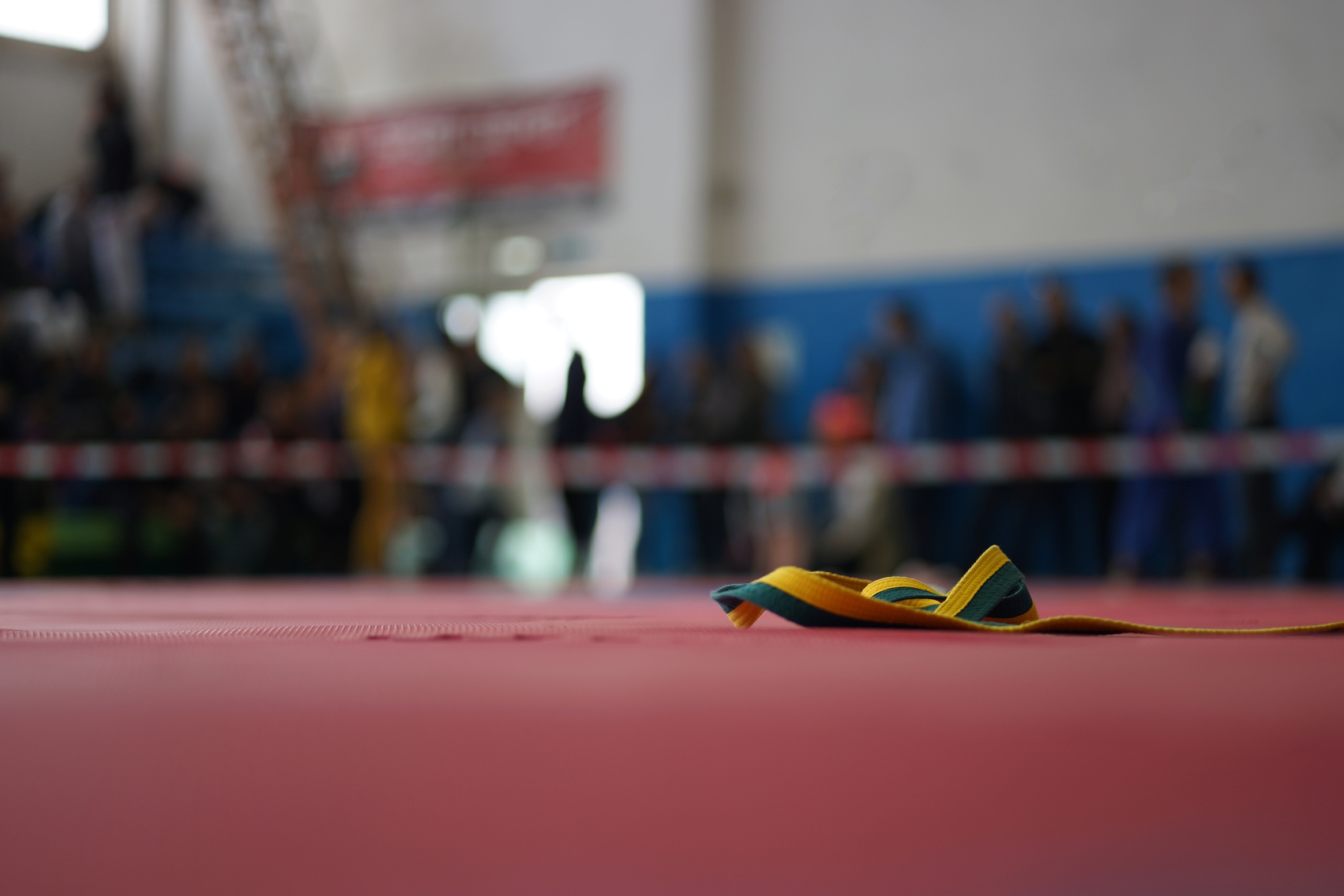 Brazilian Jiu Jitsu Tournament BJJ